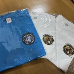 Item thumbnail for item 7f161f62-e97a-4a9c-8cd4-d94dab4fe58c