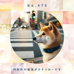 はちまる様 リクエスト 3点 まとめ商品