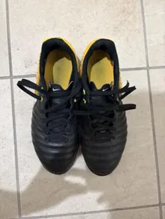 「ジャンク」ナイキ　トレーニングシューズ　25.5cm