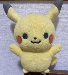 Pocket Monsters First Fluffy Plush Pikachu