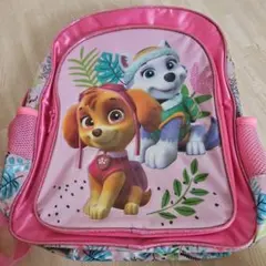 [カナダ限定] 美品 パウパトロール リュック ピンク スカイ エベレストのサムネイル