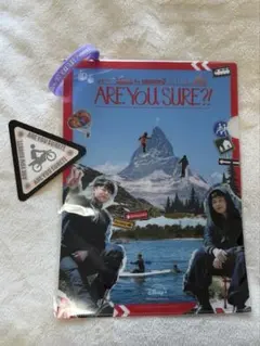 BTS Are You Sure2 イゲマジャフェス　クリアファイル他3点セット