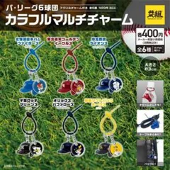 パリーグ6球団　カラフルマルチチャーム　北海道日本ハムファイターズ