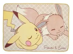 ポケットモンスター ブランケット 피카츄 이브이