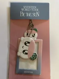 SEVENTEEN セブチ ボンボンイ フォトカードホルダー