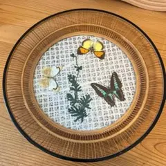 昭和レトロ 竹細工 蝶の標本風トレー 和モダン ヴィンテージ インテリア