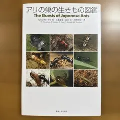 月刊むし1986年7月号『オオクワガタ特集号』藤田宏 オリジナル - メルカリ