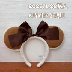 ディズニー　カチューシャ　フリー　ミニー