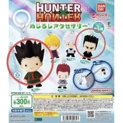 HUNTER×HUNTER めじるしアクセサリー ゴン レオリオ