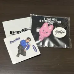 Stray Kids グッズ チャンビン トゥエッキ