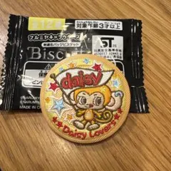 Daisy Lovers 刺繍缶バッジ