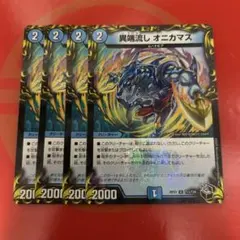 オニカマス　4枚
