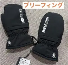 Item thumbnail for item f63a0891-0049-4bef-ae83-e82f3a20be65