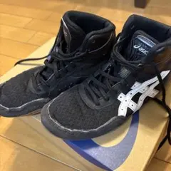 Item thumbnail for item ceb8b56f-e362-4c39-bb6d-fee13254d63f