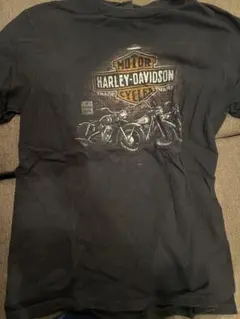HARLEY DAVIDSON / INDIANAPOLIS,IN TEE