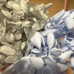 プリザーブドフラワー アジサイヘッド 2色セット