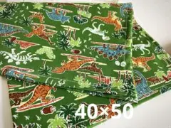 【入学入園準備】給食ナフキン　ランチョンマット　40×50 恐竜　グリーン　緑