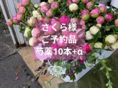 さくら様　ご予約品　芍薬10本+α
