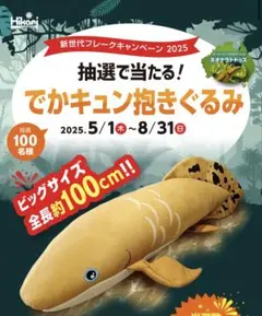 キョーリン　でかきゅん抱きぐるみ　ネオケラトドゥス キョーリン 大型 ぬいぐるみ ネオケラトドゥス 抱きぐるみ - メルカリ