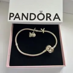 定価約35000円大幅値下げ　PANDORA ブレスレット チャームセット