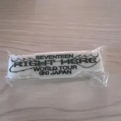 SEVENTEEN WORLD TOUR ラバーバンド DK - メルカリ