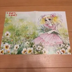 キャンディキャンディ なかよし付録 - メルカリ