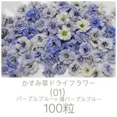 sweetガール様 リクエスト 5点 まとめ商品