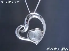 【限定入荷】 希少石 隕石 ギベオン ネックレス 神聖石 ハート メテオライト