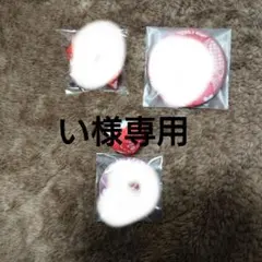 い様専用ページ