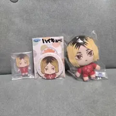ハイキュー セガラッキーくじ 孤爪研磨 ぬいぐるみ 缶バッジ アクリルスタンド