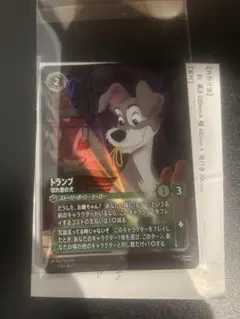 2026年最新】トランプ 切れ者の犬 エンチャンテッドの人気アイテム