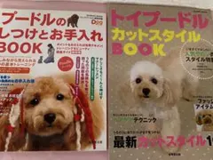 Item thumbnail for item 0b248e11-f43b-4438-8762-87a0e75bbbf2