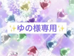 ゆの様専用✩.*˚プリズムストーン