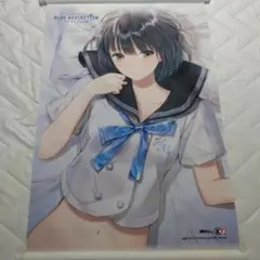 2026年最新】blue reflection タペストリーの人気アイテム - メルカリ