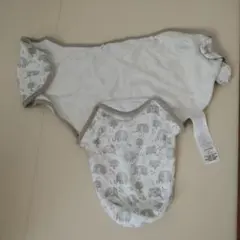 Item thumbnail for item b8ce75c5-0458-48f5-8875-c1f6d53eae27