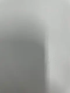 さわさん　買い戻し(白犬隊)