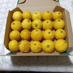 2025年最新】無農薬柚子の人気アイテム - メルカリ