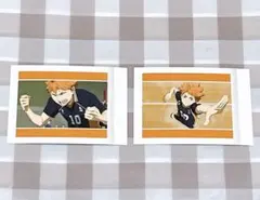 ハイキュー 日向翔陽 ぱしゃこれ