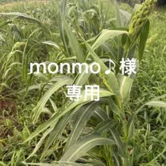 monmo様専用ページ