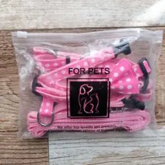 Item thumbnail for item 9a576d0f-e277-492b-bfcc-f5a839a0528e