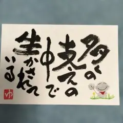 あお様 リクエスト 3点 まとめ商品