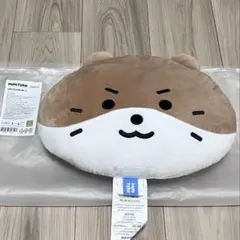 Item thumbnail for item 064edda0-d88a-4e6f-ad20-e19f0356e27d