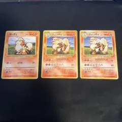 旧裏　ガーディ　ウインディ 第1弾拡張（右のウィンディ枠ズレ品） 3枚セット