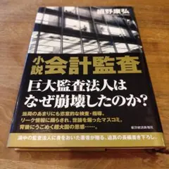 小説会計監査
