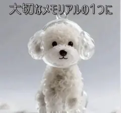 みだきゆ様 リクエスト 2点 まとめ商品