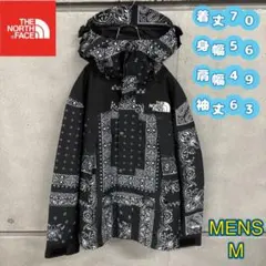 新品　ノースフェイス　マウンテンパーカー　GORE-TEX ペイズリー柄　M