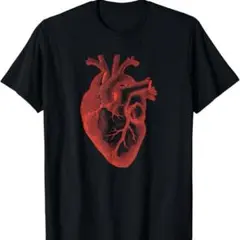 解剖学的心臓解剖科学生物学臓器研究 Tシャツ　Sサイズ