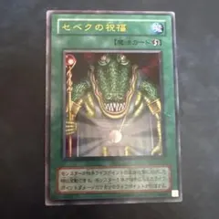 2026年最新】セベクの祝福 遊戯王の人気アイテム - メルカリ