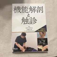 機能解剖と触診