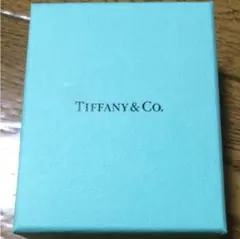 TIFFANY&Co. ビーンズネックレス シルバー
